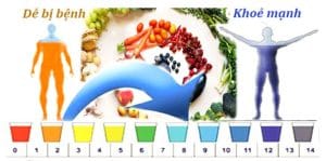 độ PH - Axit Kiềm